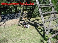 IMG_3106.jpg - Derde week